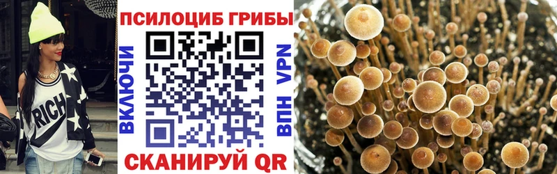 Галлюциногенные грибы Cubensis  Купить закладки  Байкальск 